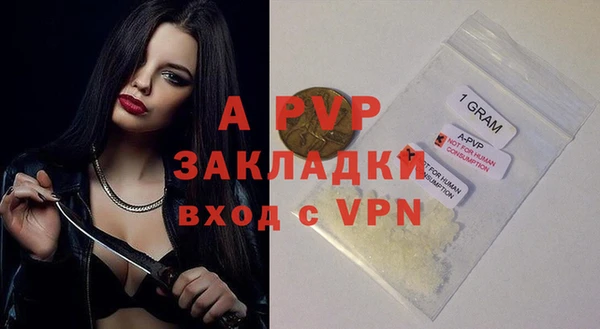 хмурый Иннополис