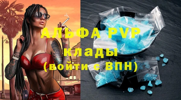 винт Инсар