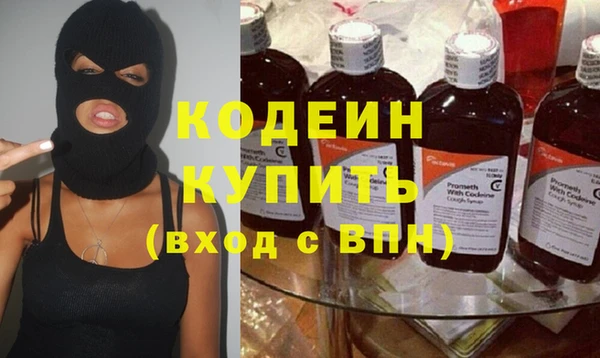 прущие крисы Инта