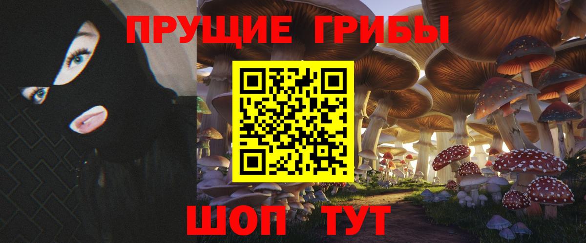 продажа наркотиков  Вход с VPN  Комсомольск-на-Амуре  Галлюциногенные грибы мицелий 